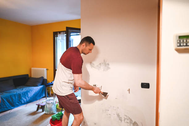 Best Attic Mold Removal  in Lenox, IA
