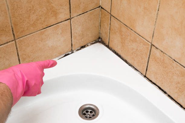 Best Residential Mold Removal  in Lenox, IA